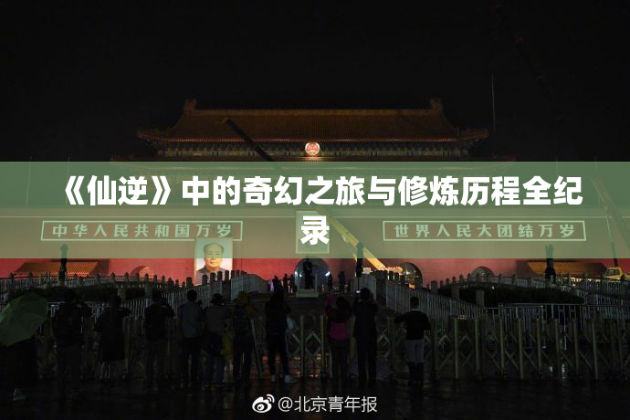 《仙逆》中的奇幻之旅与修炼历程全纪录