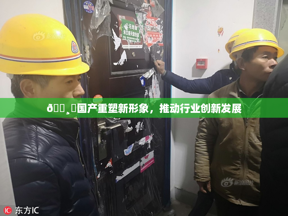 🌸‌国产重塑新形象，推动行业创新发展