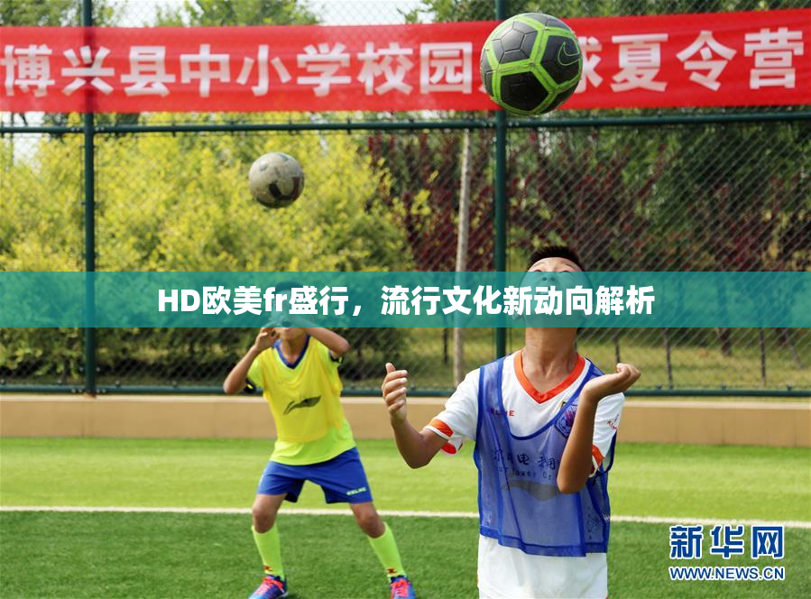 HD欧美fr盛行，流行文化新动向解析
