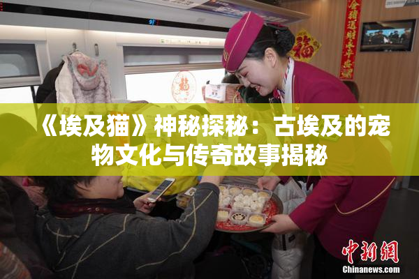 《埃及猫》神秘探秘：古埃及的宠物文化与传奇故事揭秘