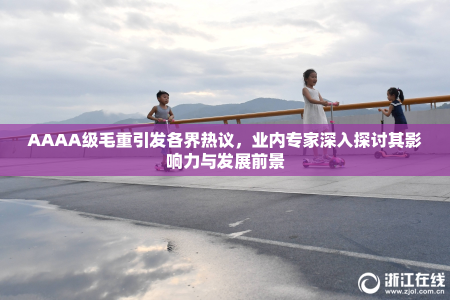 AAAA级毛重引发各界热议，业内专家深入探讨其影响力与发展前景