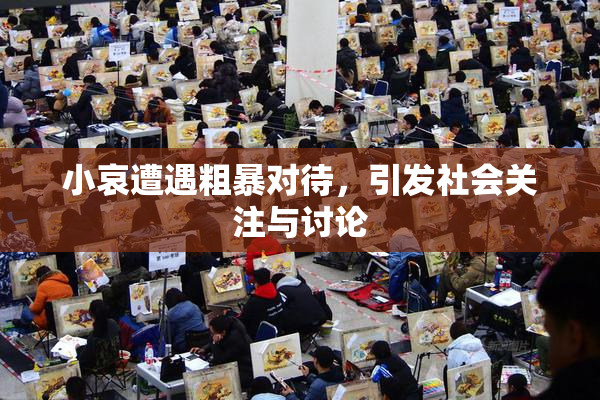 小哀遭遇粗暴对待，引发社会关注与讨论