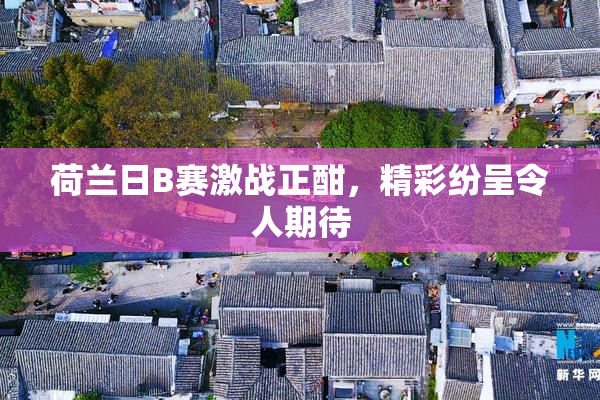 荷兰日B赛激战正酣，精彩纷呈令人期待