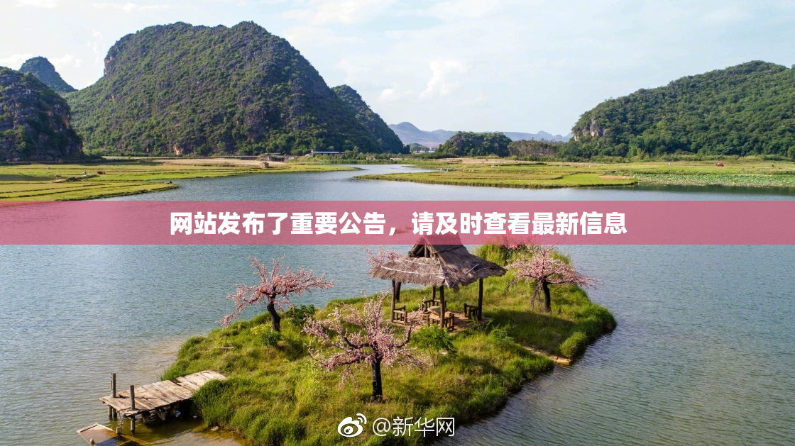 网站发布了重要公告，请及时查看最新信息
