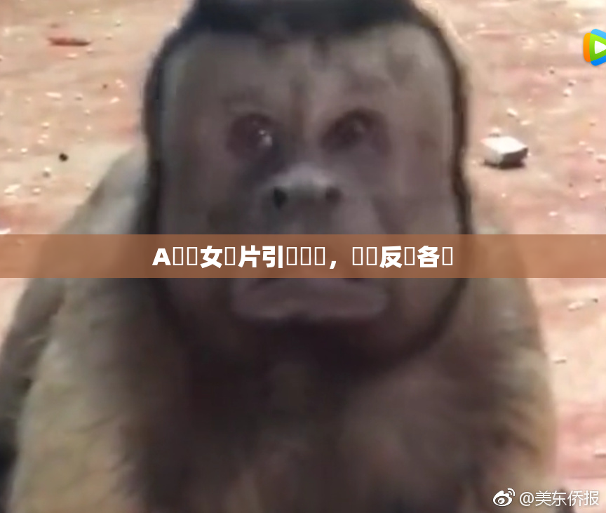 A級處女黃片引發熱議，觀眾反應各異