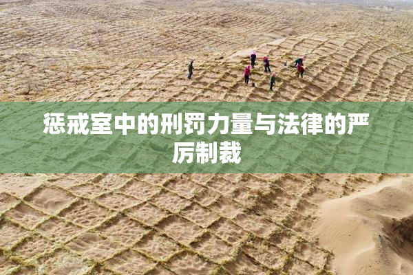 惩戒室中的刑罚力量与法律的严厉制裁