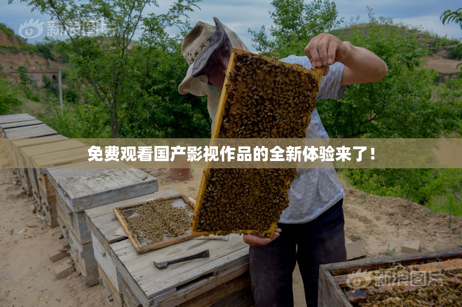 免费观看国产影视作品的全新体验来了！