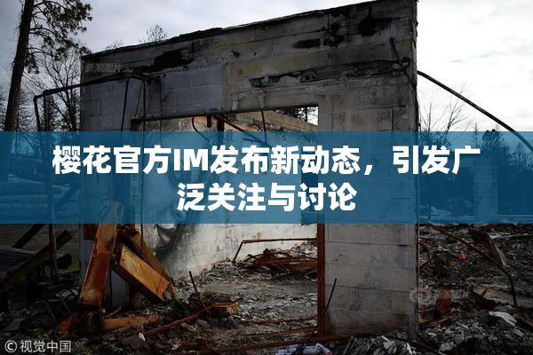 樱花官方IM发布新动态，引发广泛关注与讨论