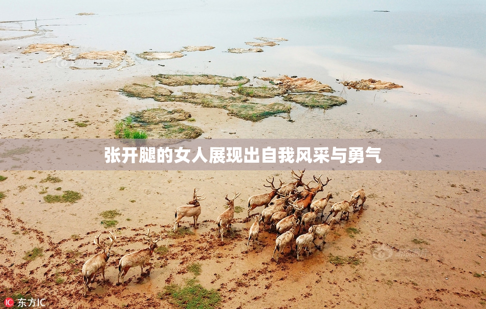 张开腿的女人展现出自我风采与勇气