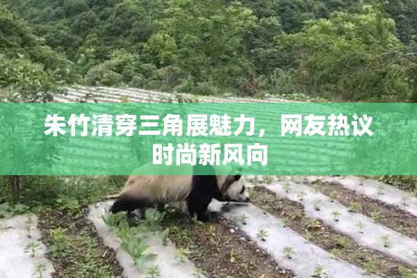 朱竹清穿三角展魅力，网友热议时尚新风向