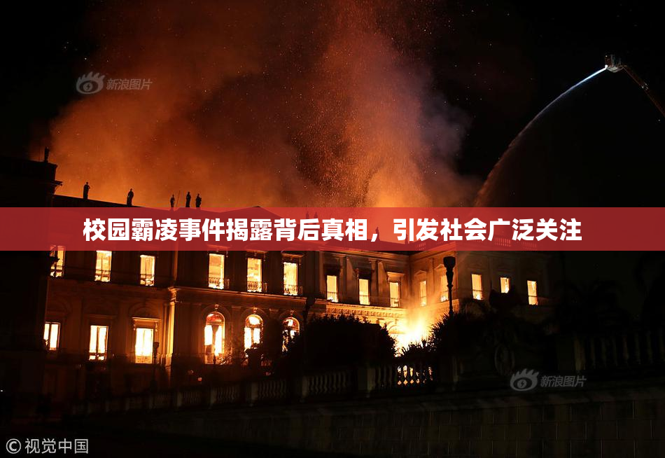 校园霸凌事件揭露背后真相，引发社会广泛关注