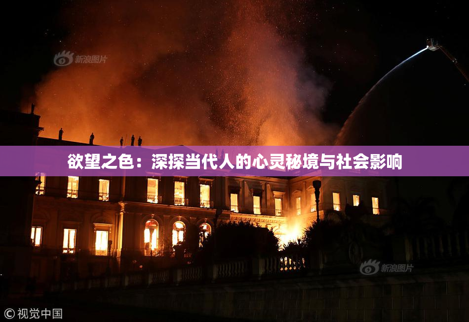 欲望之色：深探当代人的心灵秘境与社会影响