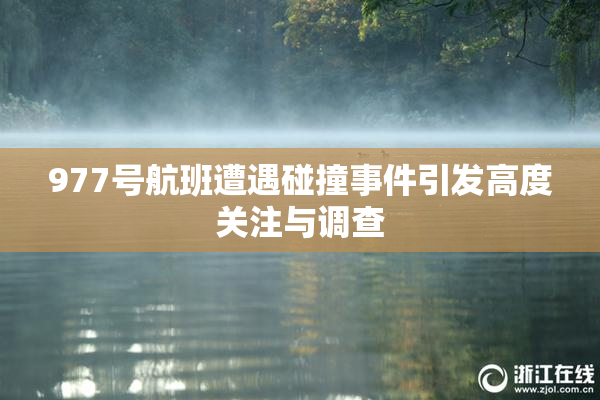 977号航班遭遇碰撞事件引发高度关注与调查