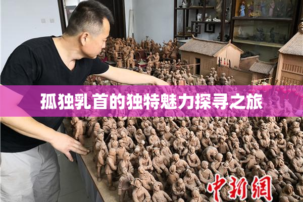 孤独乳首的独特魅力探寻之旅