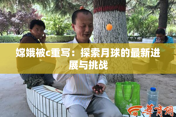 嫦娥被c重写：探索月球的最新进展与挑战