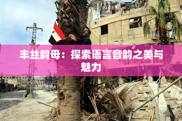 丰丝韵母：探索语言音韵之美与魅力