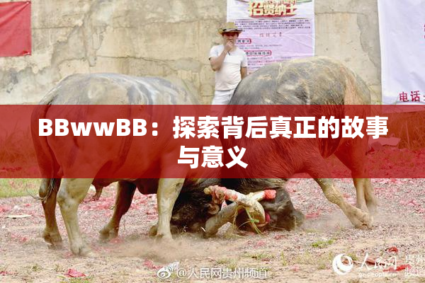 BBwwBB：探索背后真正的故事与意义