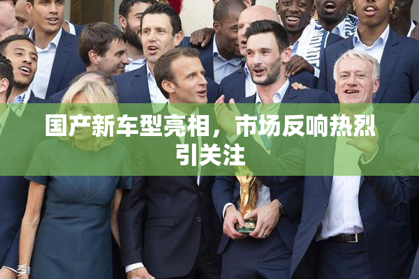 国产新车型亮相，市场反响热烈引关注