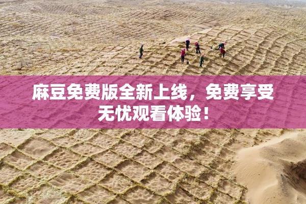 麻豆免费版全新上线，免费享受无忧观看体验！