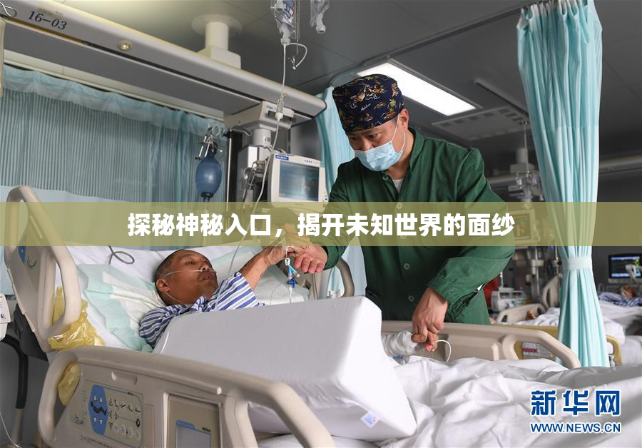 探秘神秘入口，揭开未知世界的面纱