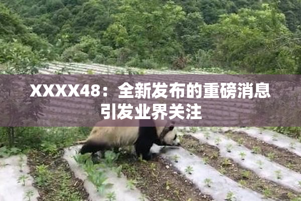 XXXX48：全新发布的重磅消息引发业界关注