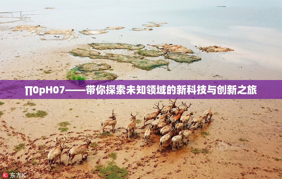 ∏0pH07——带你探索未知领域的新科技与创新之旅