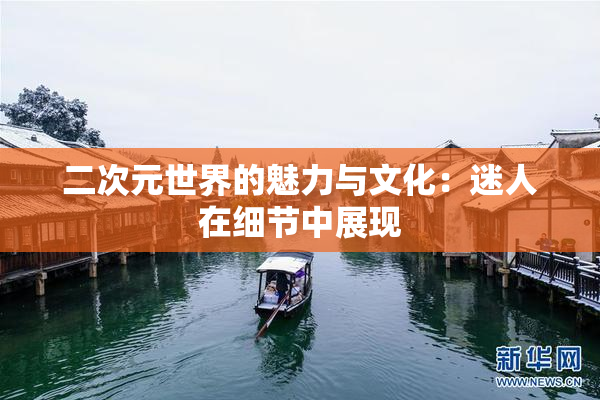 二次元世界的魅力与文化：迷人在细节中展现