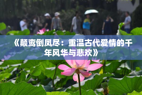 《颠鸾倒凤尽：重温古代爱情的千年风华与悲欢》