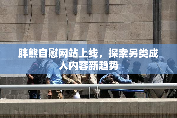 胖熊自慰网站上线，探索另类成人内容新趋势