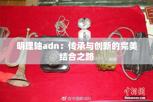明理轴adn：传承与创新的完美结合之路