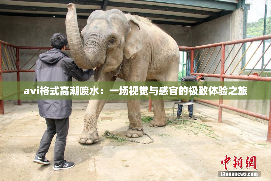 avi格式高潮喷水：一场视觉与感官的极致体验之旅