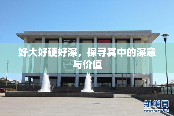 好大好硬好深，探寻其中的深意与价值