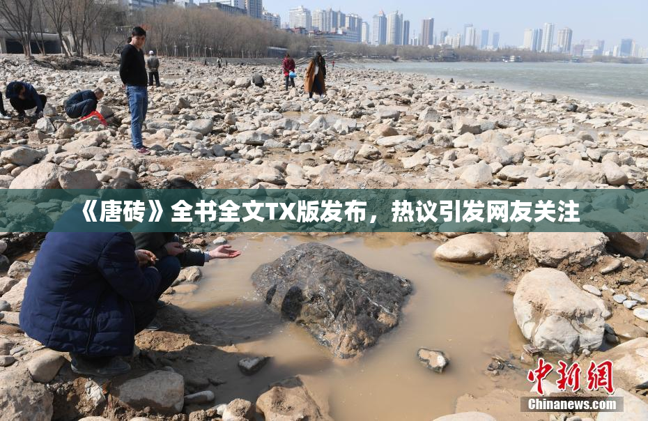 《唐砖》全书全文TX版发布，热议引发网友关注