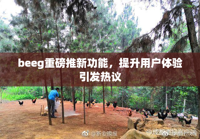 beeg重磅推新功能，提升用户体验引发热议