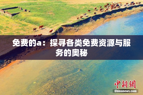 免费的a：探寻各类免费资源与服务的奥秘