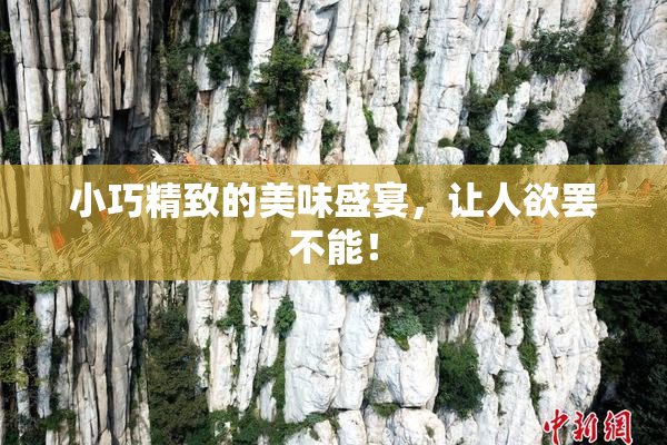 小巧精致的美味盛宴，让人欲罢不能！