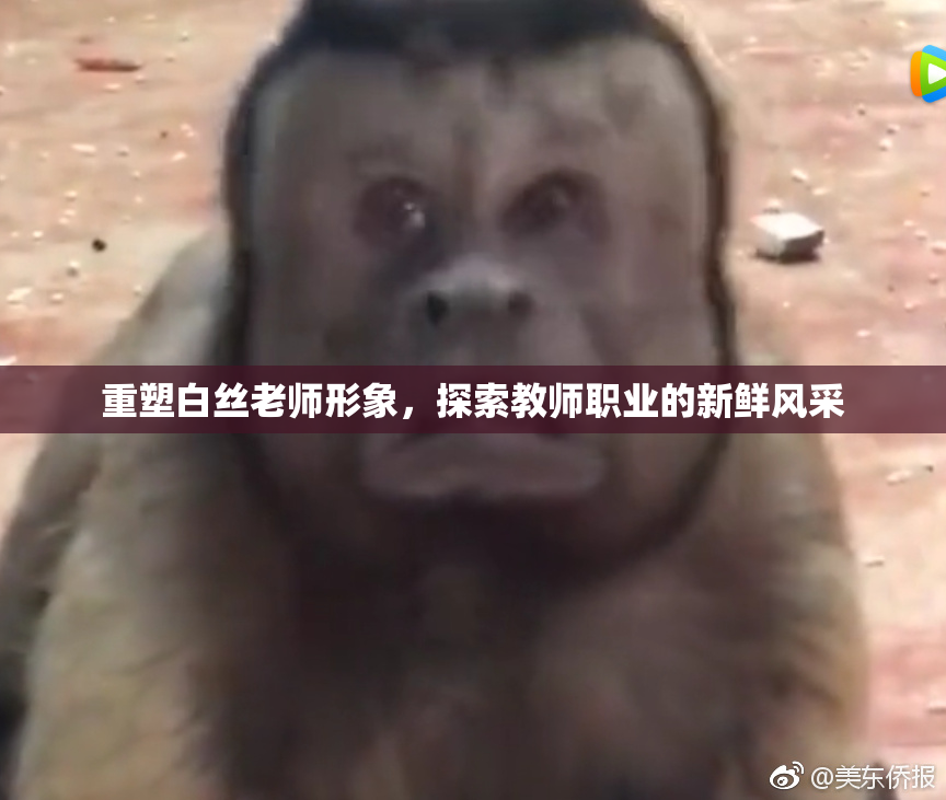 重塑白丝老师形象，探索教师职业的新鲜风采