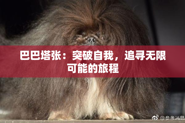 巴巴塔张：突破自我，追寻无限可能的旅程