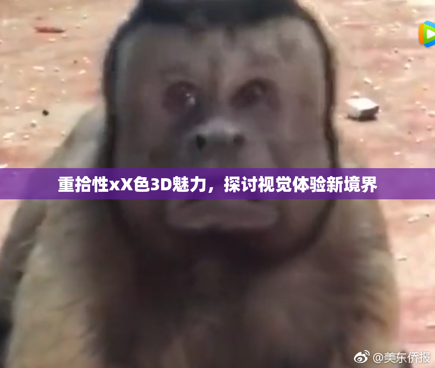 重拾性xX色3D魅力，探讨视觉体验新境界