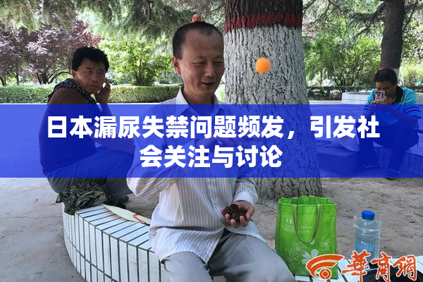 日本漏尿失禁问题频发，引发社会关注与讨论