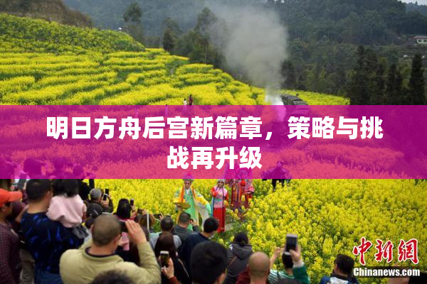 明日方舟后宫新篇章，策略与挑战再升级