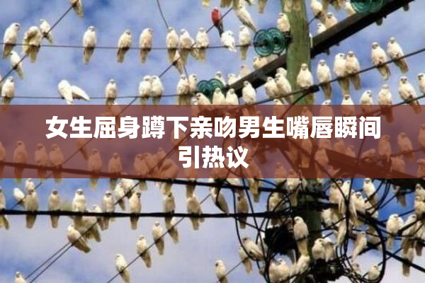 女生屈身蹲下亲吻男生嘴唇瞬间引热议