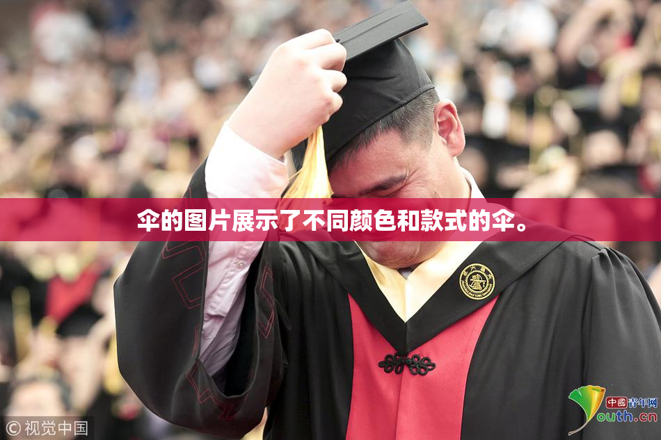 伞的图片展示了不同颜色和款式的伞。