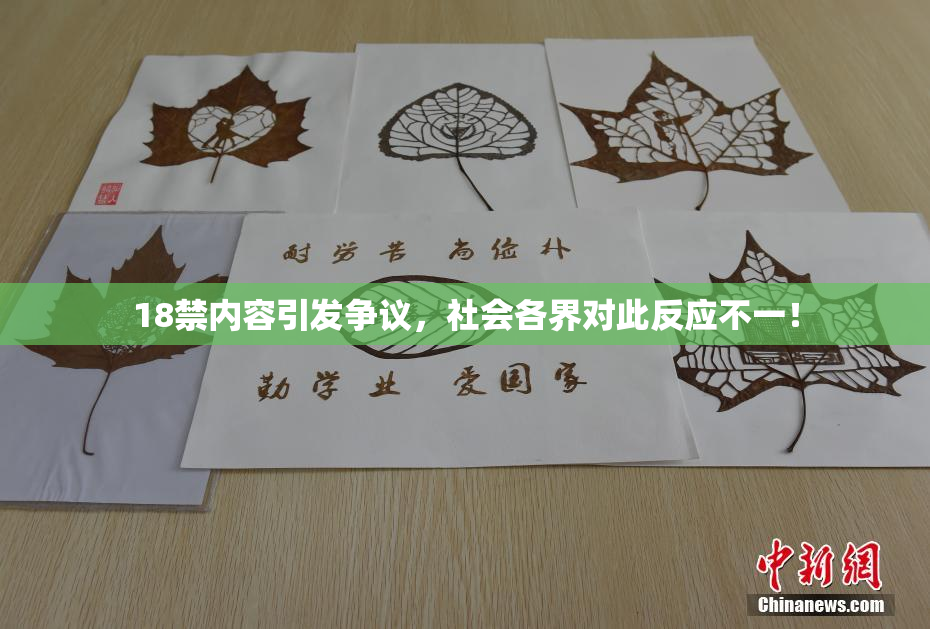 18禁内容引发争议，社会各界对此反应不一！