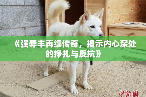 《强辱丰再续传奇，揭示内心深处的挣扎与反抗》