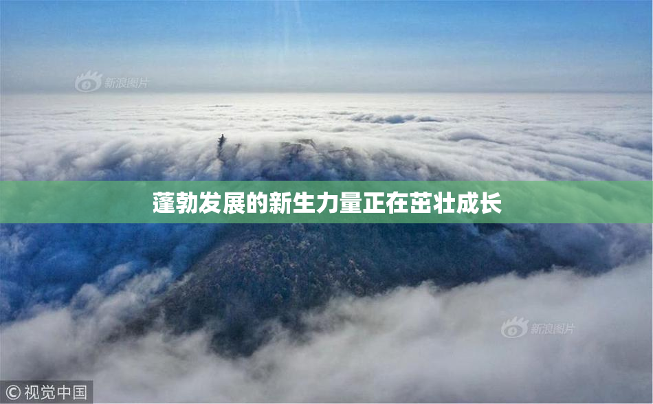蓬勃发展的新生力量正在茁壮成长