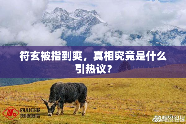符玄被指到爽，真相究竟是什么引热议？