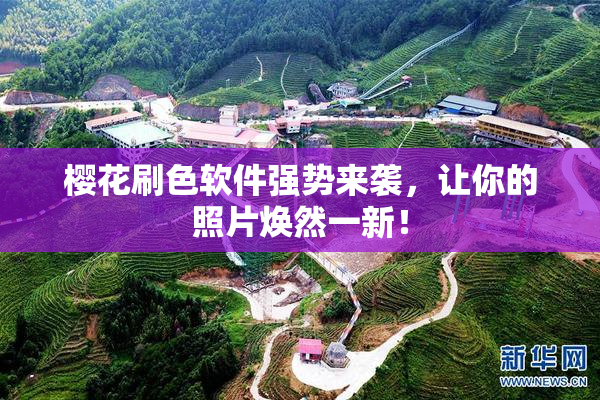 樱花刷色软件强势来袭，让你的照片焕然一新！