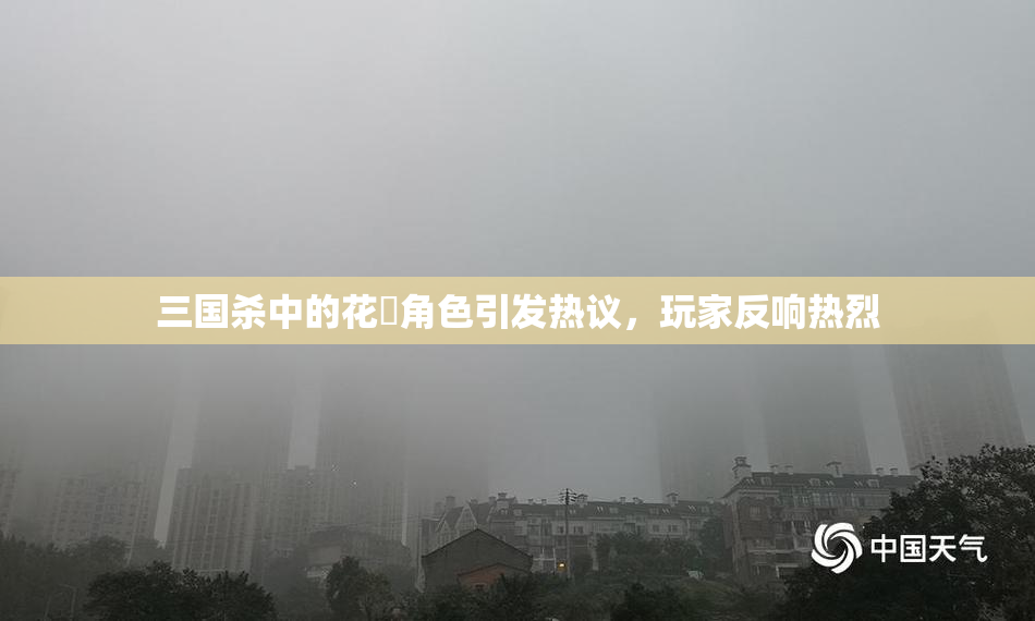 三国杀中的花鬘角色引发热议，玩家反响热烈