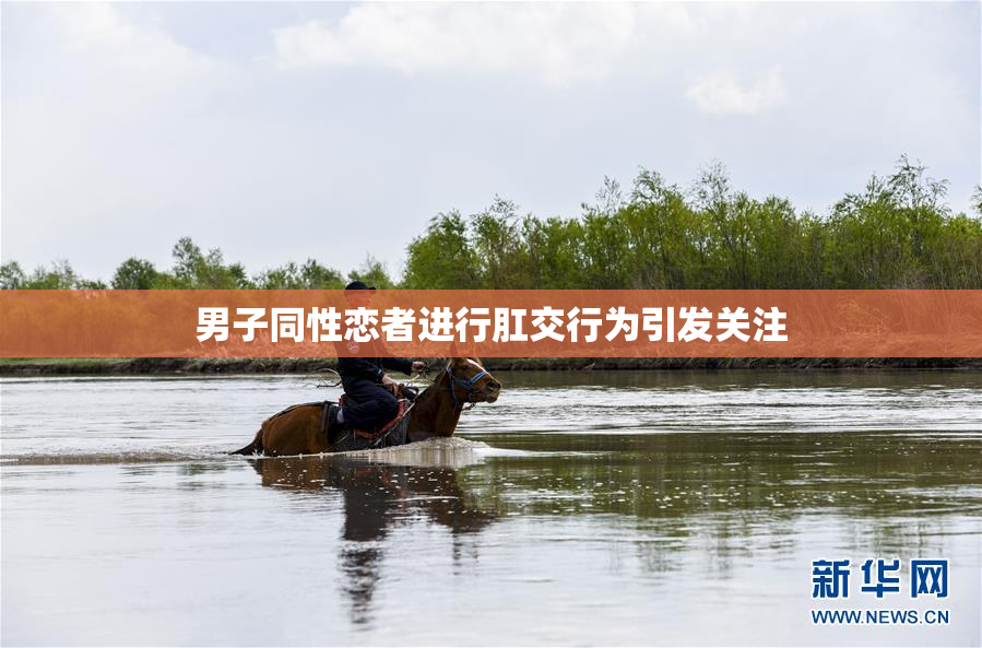男子同性恋者进行肛交行为引发关注